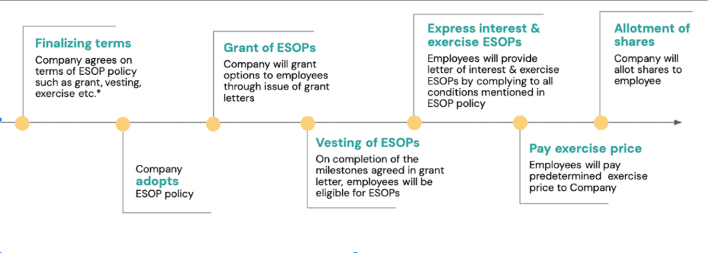 How does ESOP work? Step by step guide